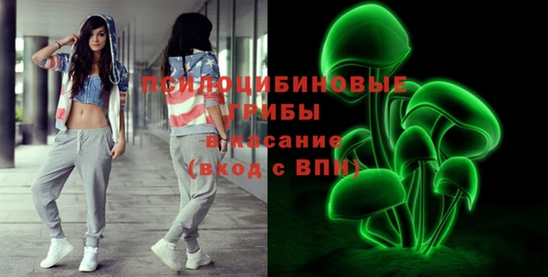 МДПВ Верея