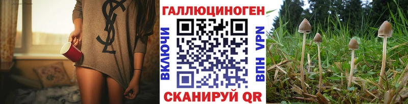 Псилоцибиновые грибы GOLDEN TEACHER  Данилов 
